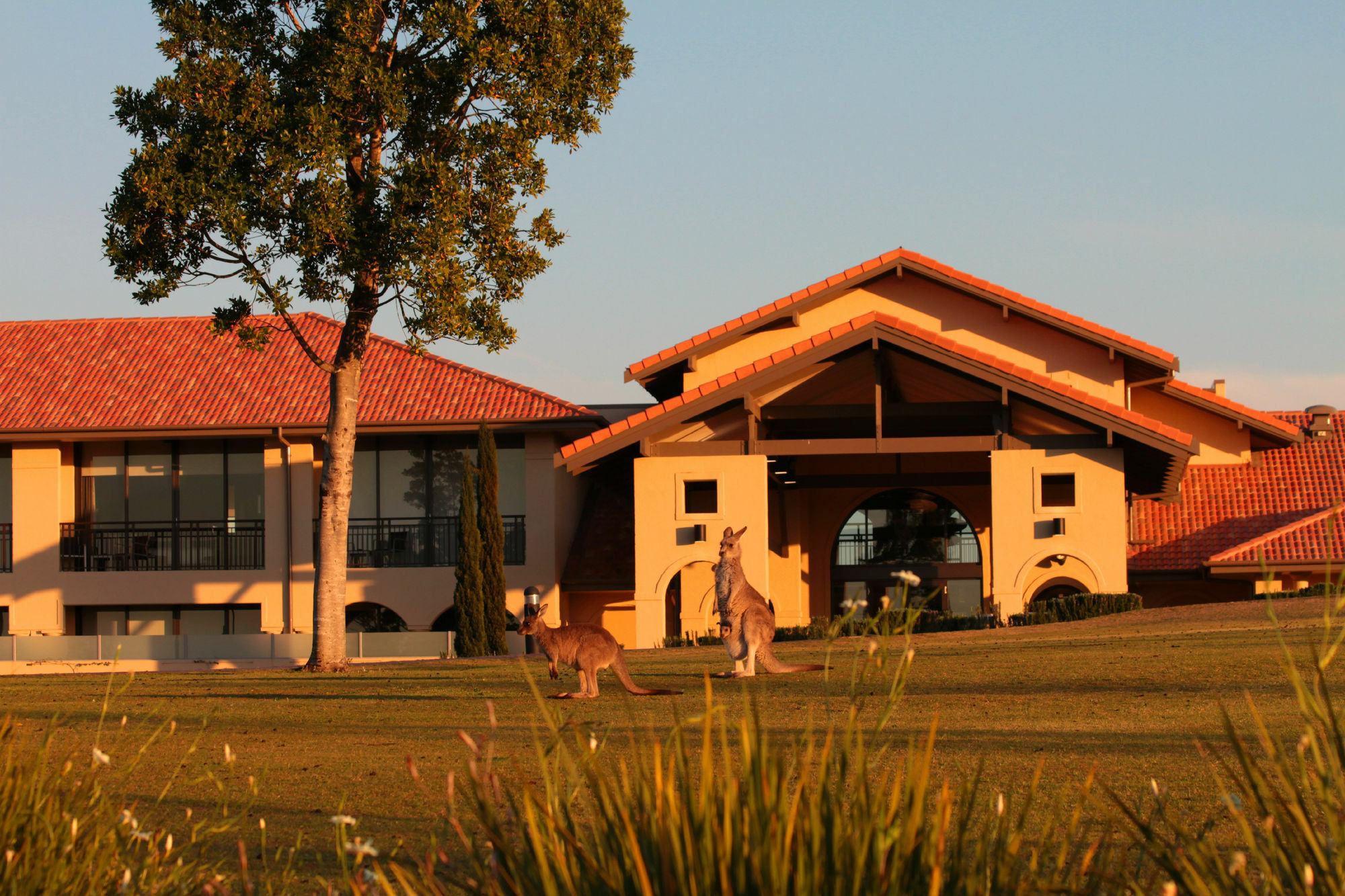 Chateau Elan At The Vintage Pokolbin Eksteriør billede Clubhouse at the Sanctuary Golf Resort
